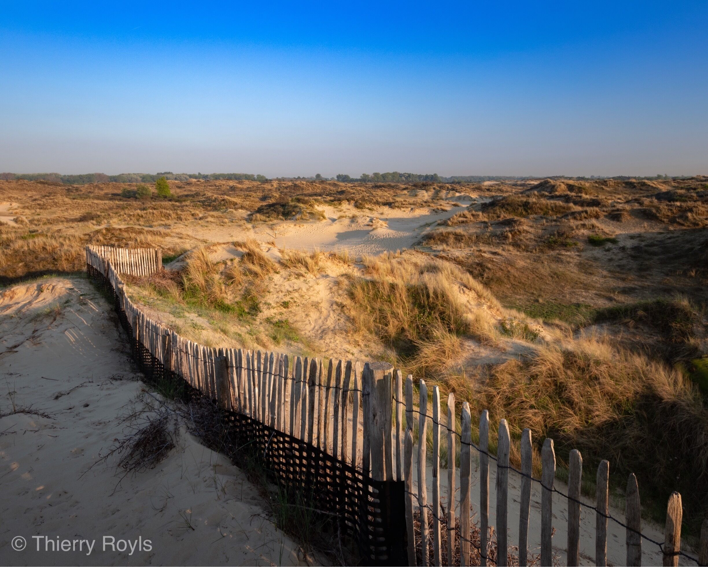 Sunset from the point of view in the middle of this wonderful nature reserve

More pictures on Instagram @thierryroyls

#BeachTips
#dunes #sand #sun #belgium #westvlaanderen #photographyspot #bestplacetobe