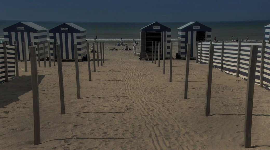Echoes of a former world, at De Panne beach,Belgium. #BeachTips