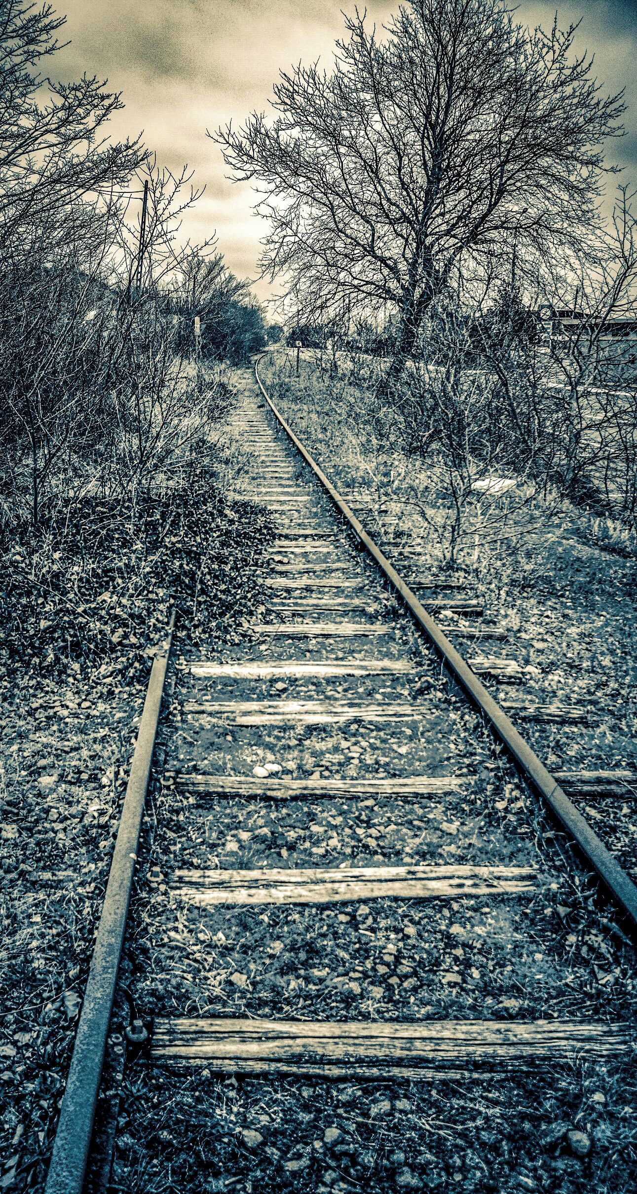 Derelict train line on the Belgium side of the France/Belgium boarder. Just to the north this track is in use as the Belgium coastal tramway. The track is out of use southbound until Dunkirk. 