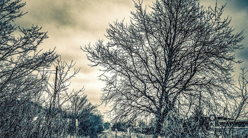 Derelict train line on the Belgium side of the France/Belgium boarder. Just to the north this track is in use as the Belgium coastal tramway. The track is out of use southbound until Dunkirk.
