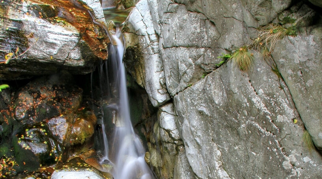 A waterfall by the way to Hubavetc hut.Golden autumn! Magic colors!