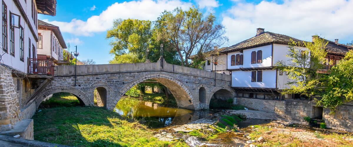A stone bridge over a river, surrounded by traditional buildings and greenery.