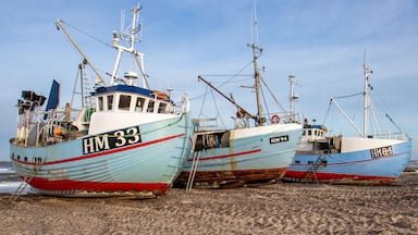 Tres barcos pesqueros con números de identificación HM 33, HM 94 y HM 84 varados en una playa arenosa.