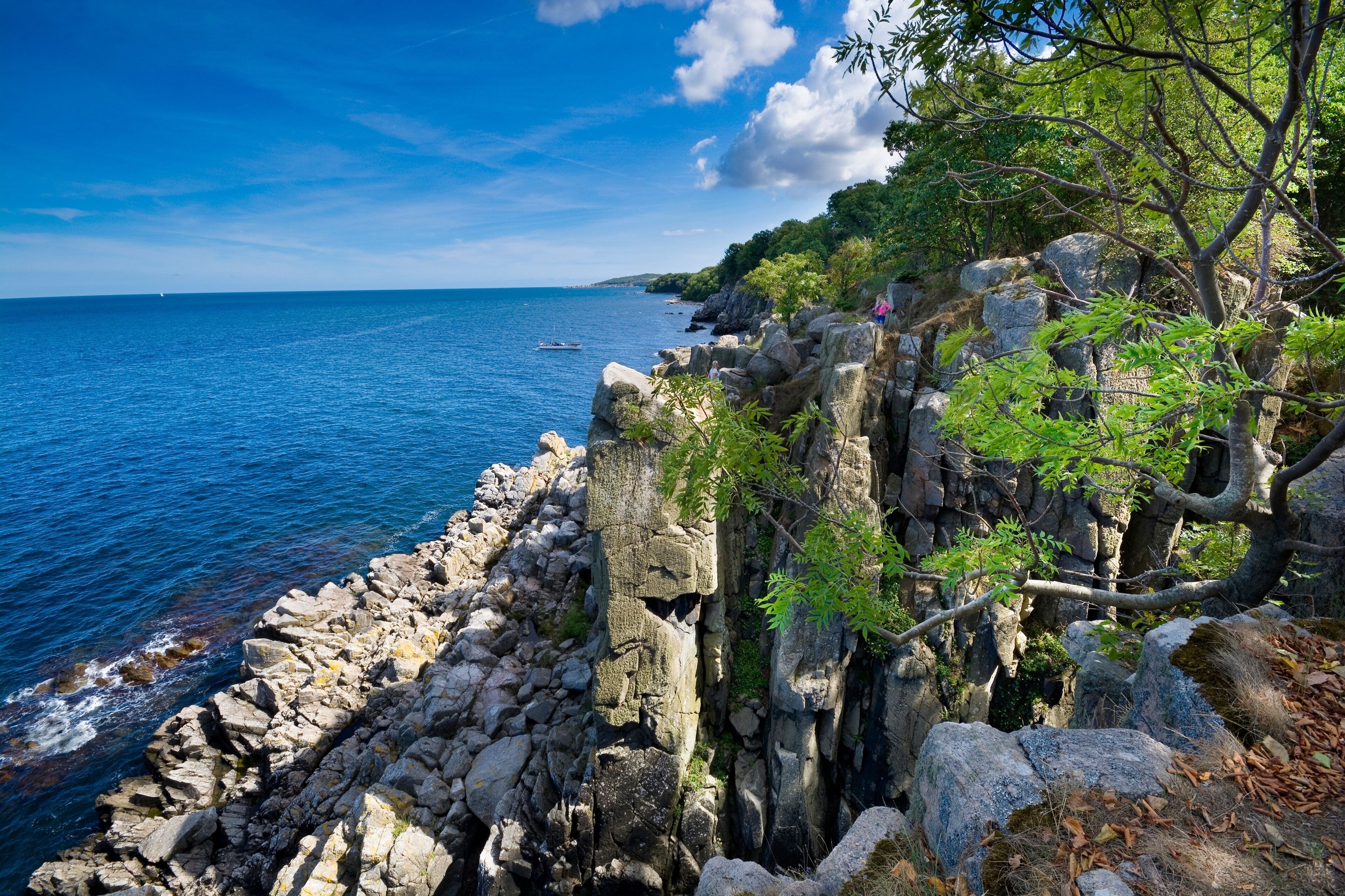 A rocky coastline with clear blue sea, large boulders, and green foliage.