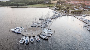 A marina with numerous boats docked, surrounded by a small town and greenery.