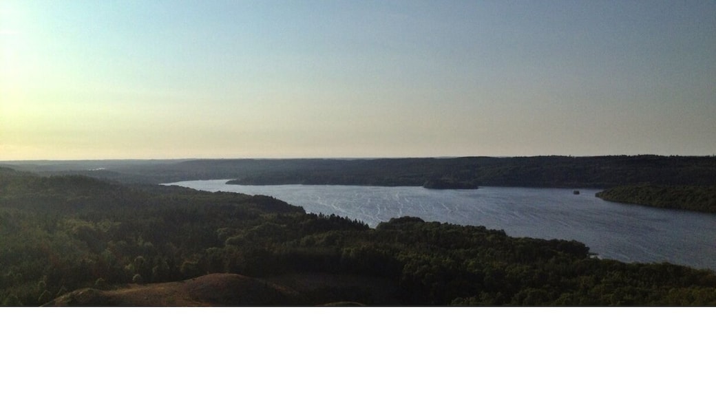 The lakes around Himmelbjerget between Ry and Silkeborg is one of the most beautiful places you find in Denmark. I can recommend to rent cannoons in the summer period and spent a few days sailing up the lakes while camping