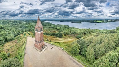 A tower in a forested area with a lake in the background.