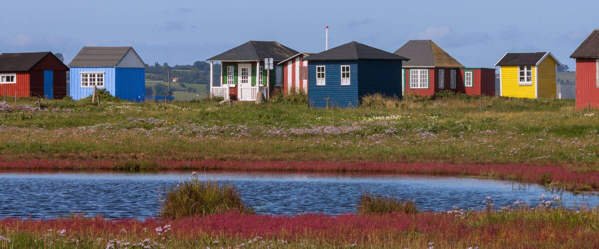 A row of colorful houses by a calm water body with a grassy field in the foreground.