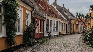 A cobblestone street lined with colorful buildings, a bicycle, and ivy-covered walls.