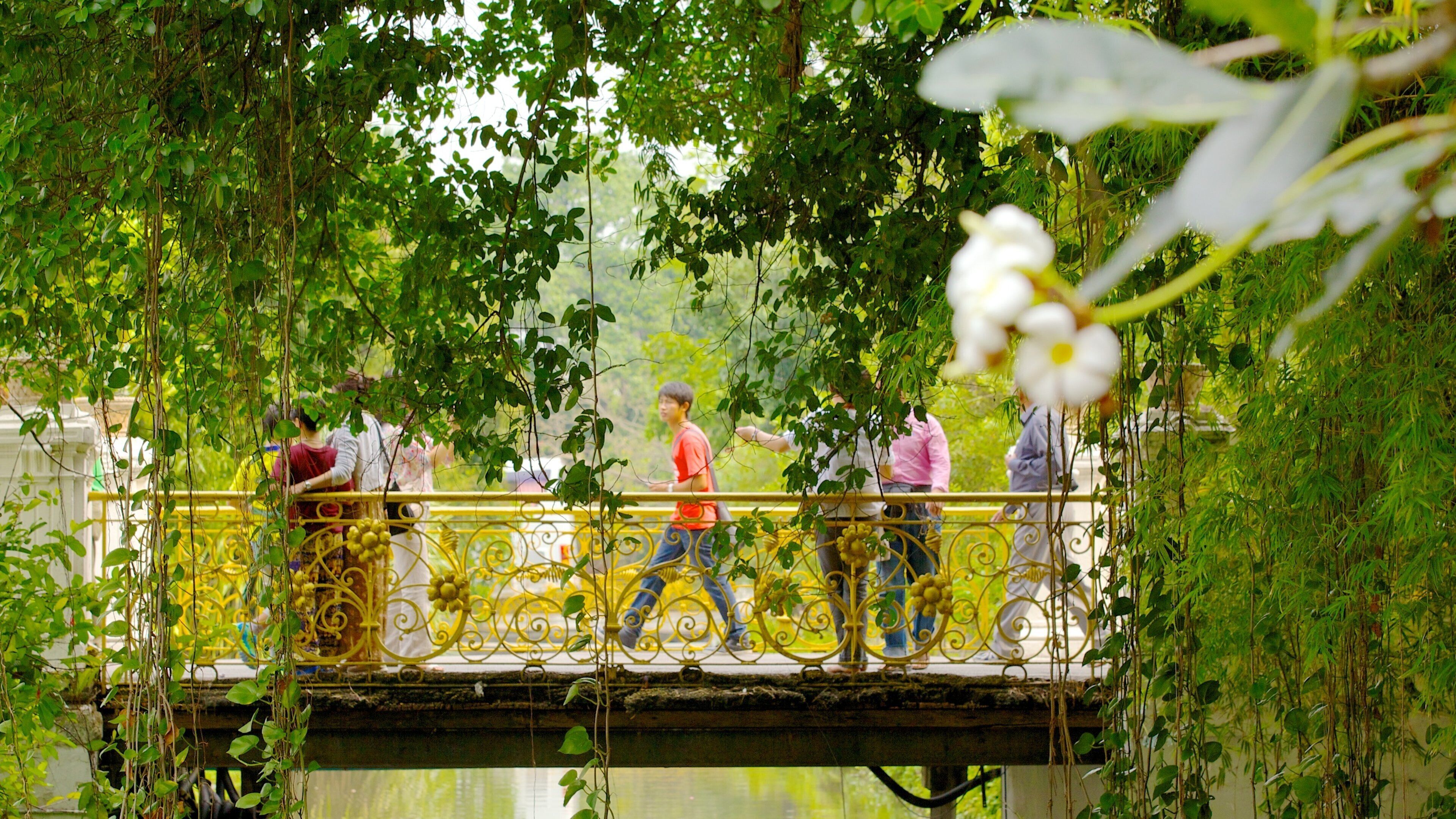Vimanmek Palace which includes a bridge, a park and heritage architecture