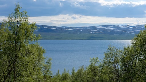 Kilpisjärvi que incluye vistas panorámicas, situaciones tranquilas y un río o arroyo