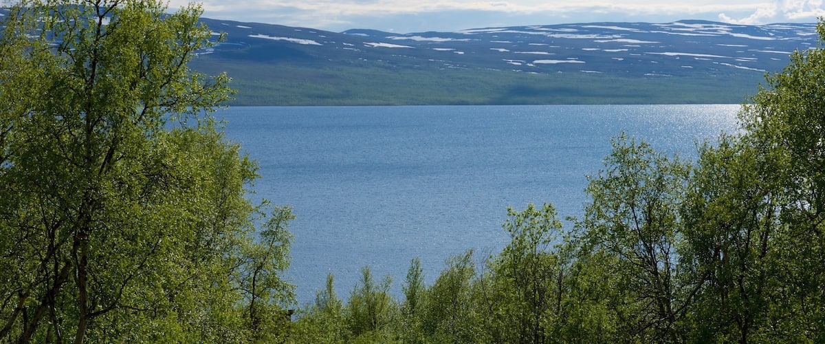 A lake surrounded by mountains and trees.