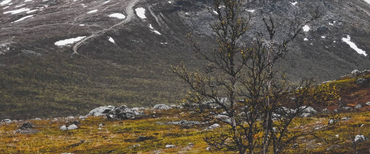 Views from Malla nature park towards the Saana fell