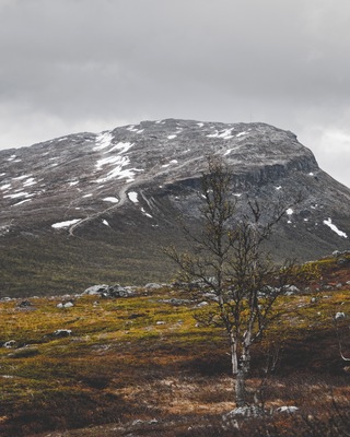 Views from Malla nature park towards the Saana fell