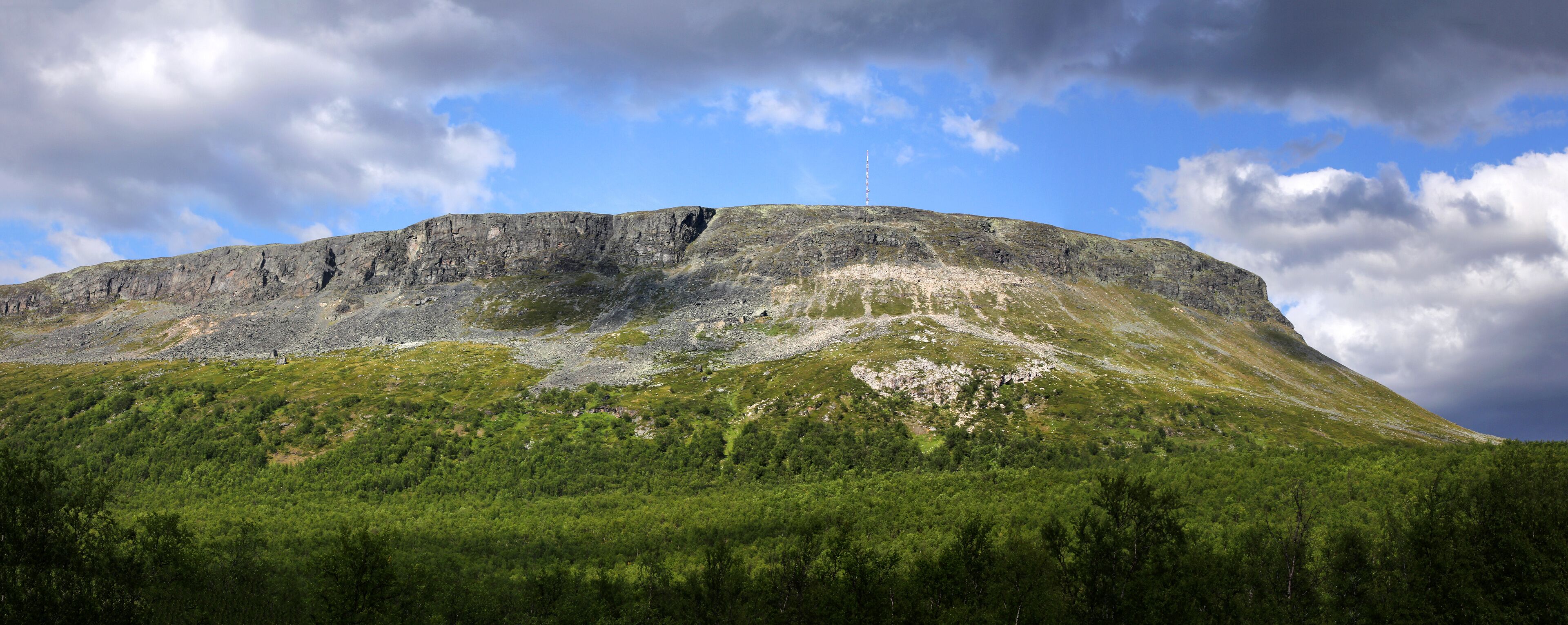 Una montaña con un pico rocoso y una base boscosa.