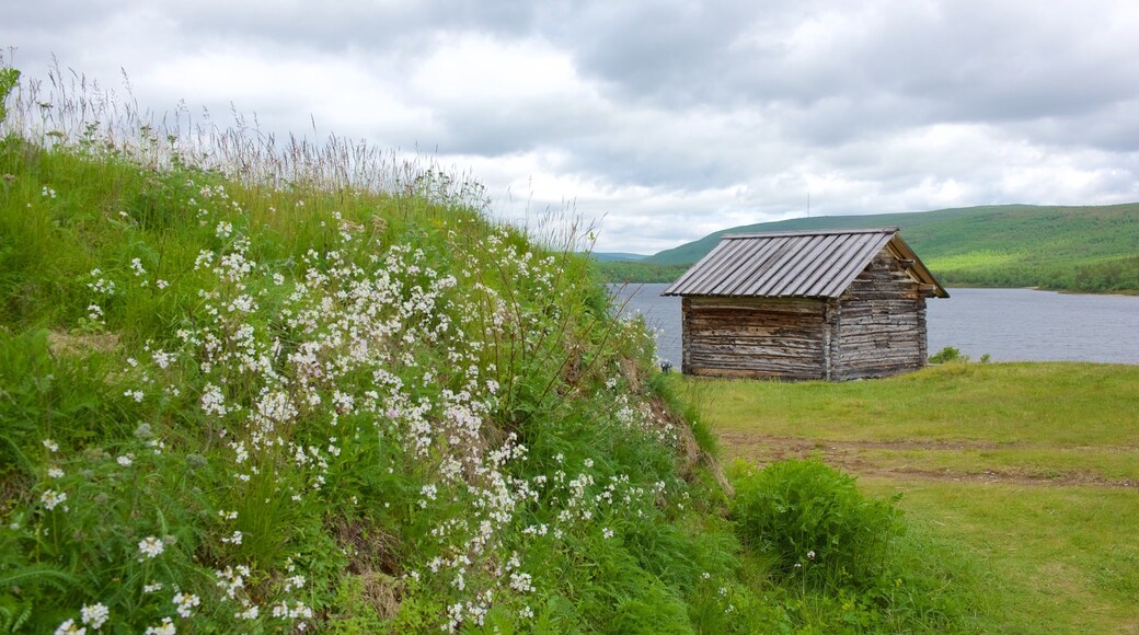 Utsjoki ofreciendo una casa, escenas tranquilas y flores silvestres