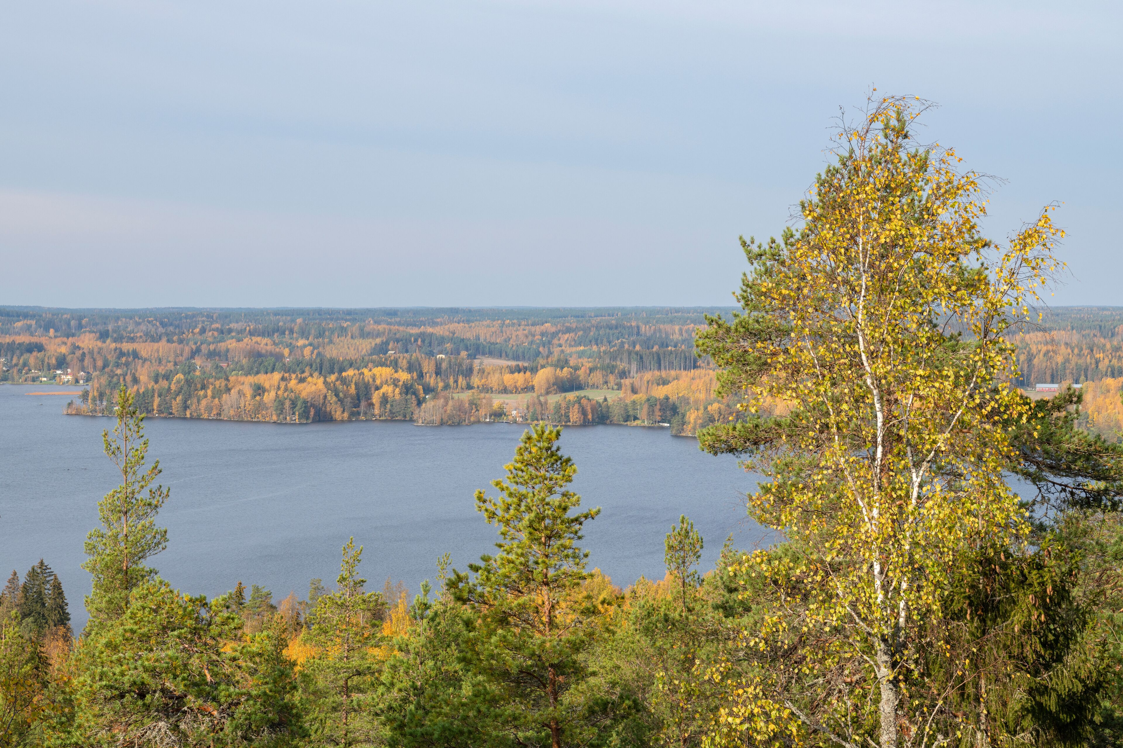 Autumn view from The Devil's Mountain, Sastamala, Finland