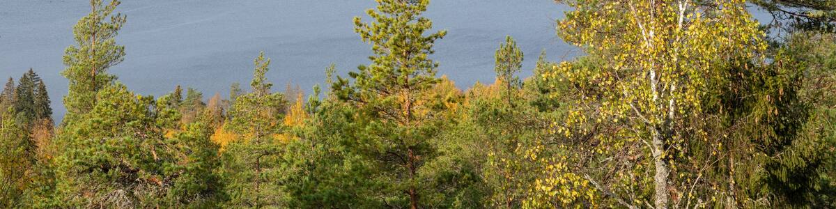 Autumn view from The Devil's Mountain, Sastamala, Finland