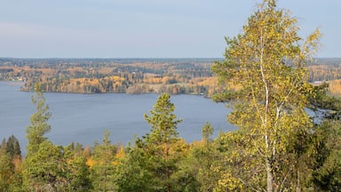 Autumn view from The Devil's Mountain, Sastamala, Finland