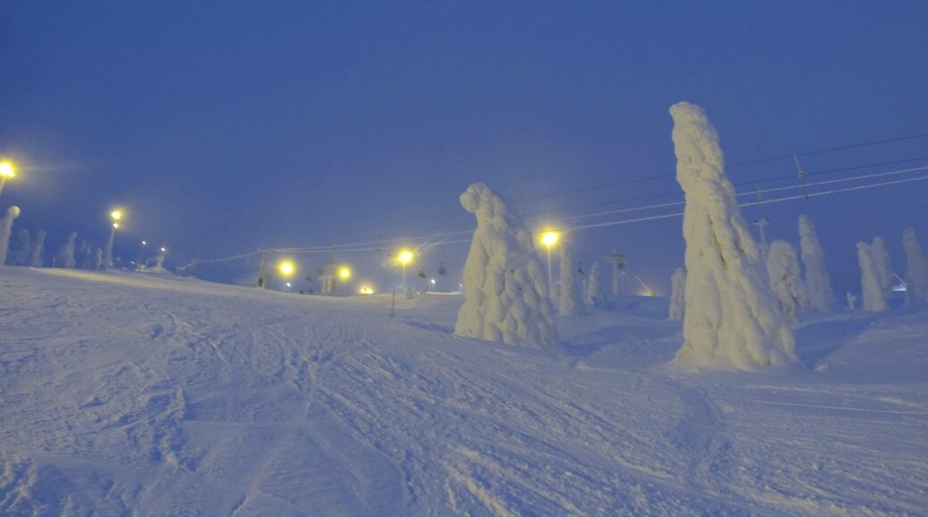 Snow tree icicles in Finland, it's incredible the trees survive #snow