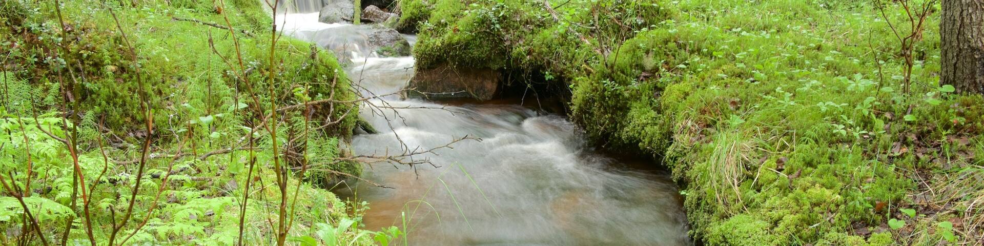 Akaslompolo showing a river or creek and wetlands