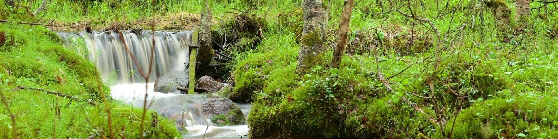 Akaslompolo which includes rainforest and rapids