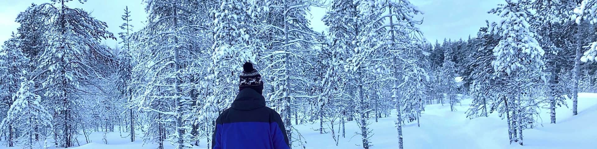 Magical Christmas cake land!
