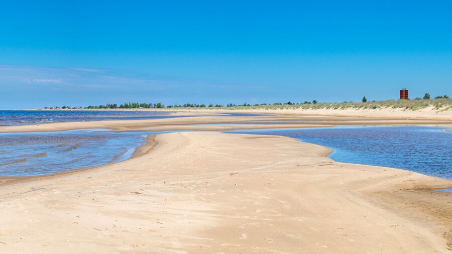 Beaches and dunes of Vihaspauha beach in Kalajoki, Finland