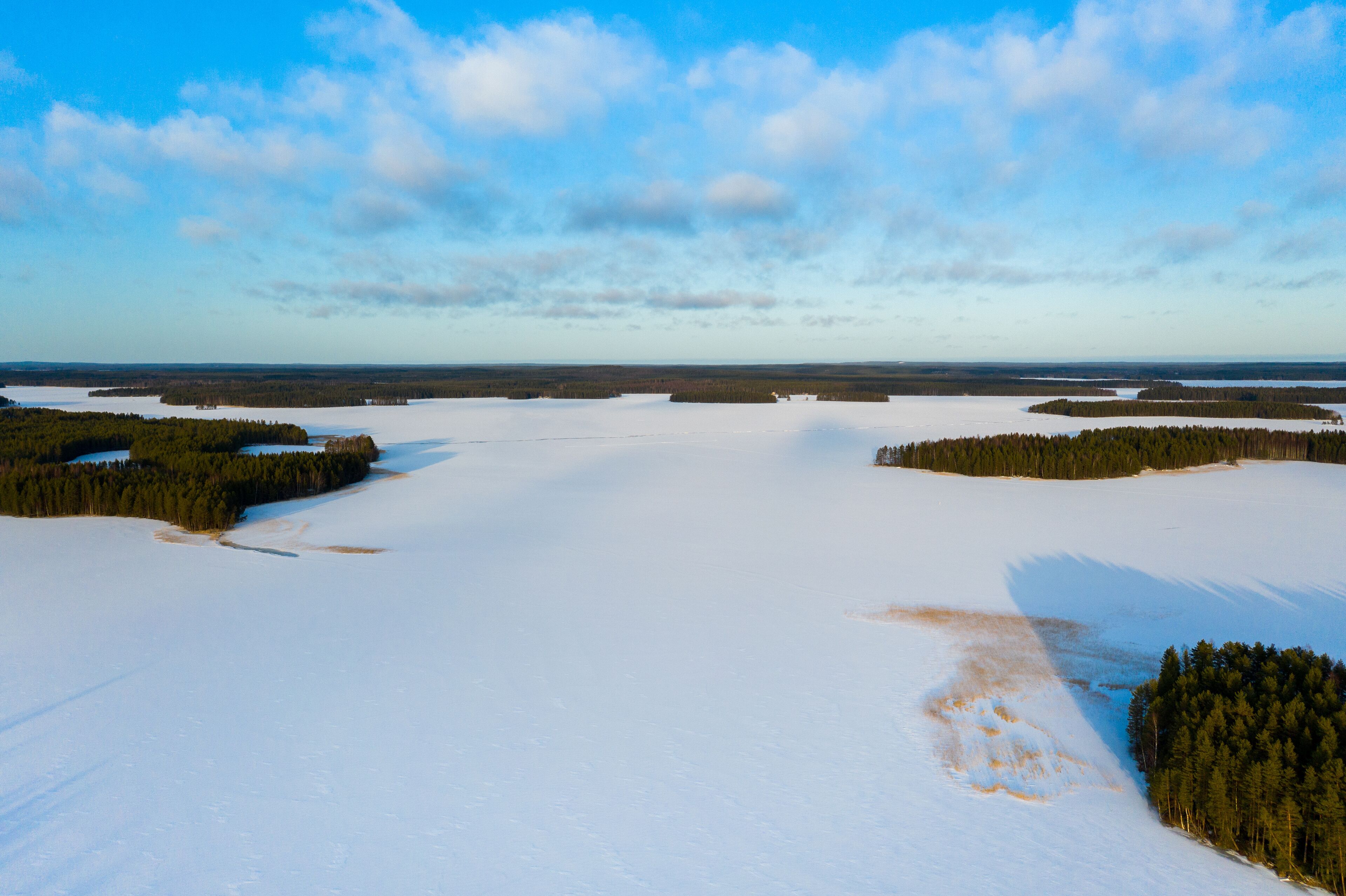 A vast snow-covered landscape with dense forests and a clear sky.