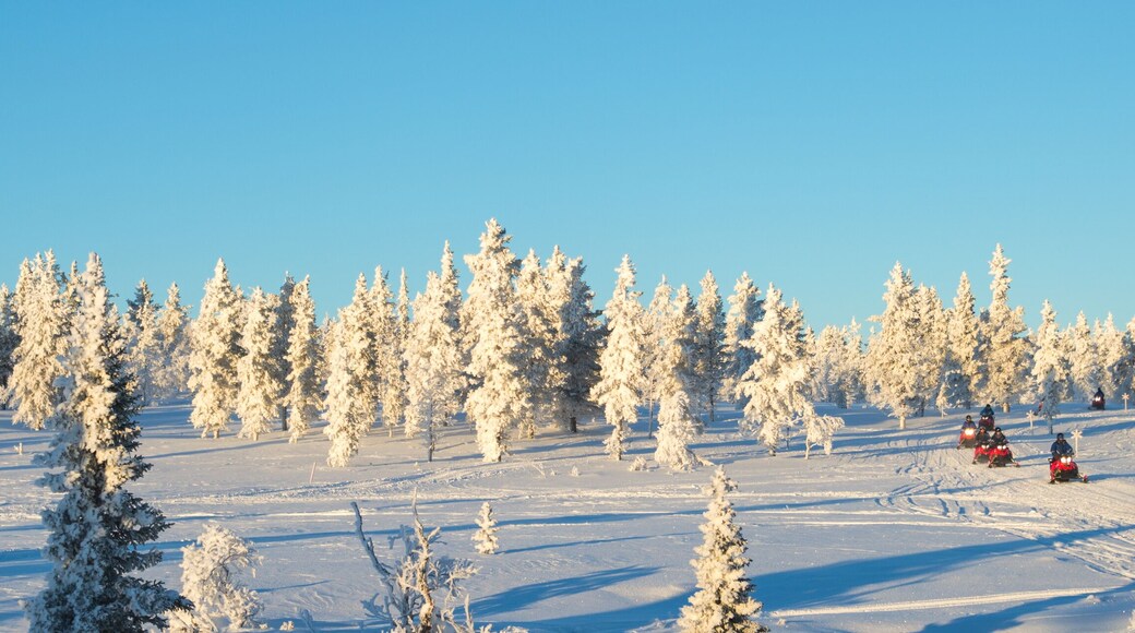 Group of snowmobiles in Lapland, near Saariselka, panoramic winter background, Finland