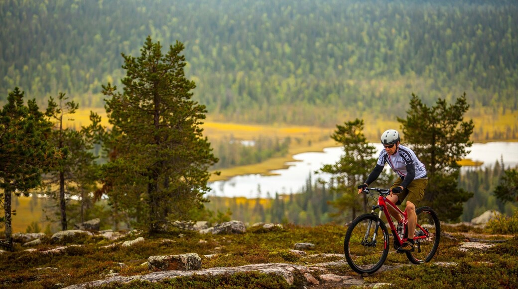 Salla featuring mountain biking as well as an individual male