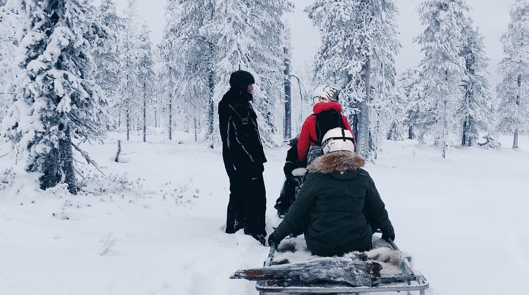 Tb to Christmas day's snowmobile trip with my family.
#salla #lapland #inthemiddleofnowhere #finland #snowmobile #snow #winter #christmas