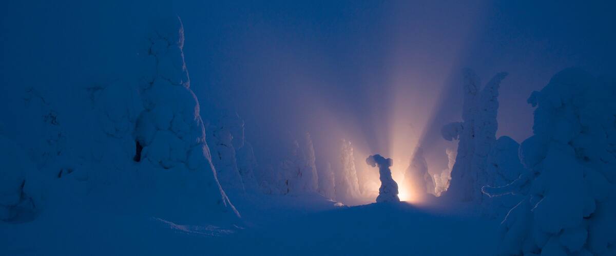 Un paisaje nevado con una persona en el centro, rodeada de árboles cubiertos de nieve y una fuente de luz brillante al fondo.