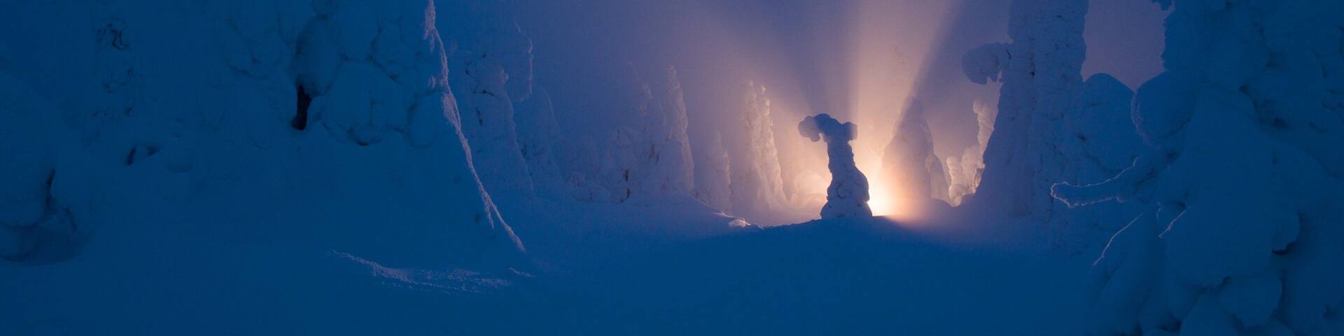 A snowy landscape with a person standing in the center, surrounded by snow-covered trees and a bright light source in the background.