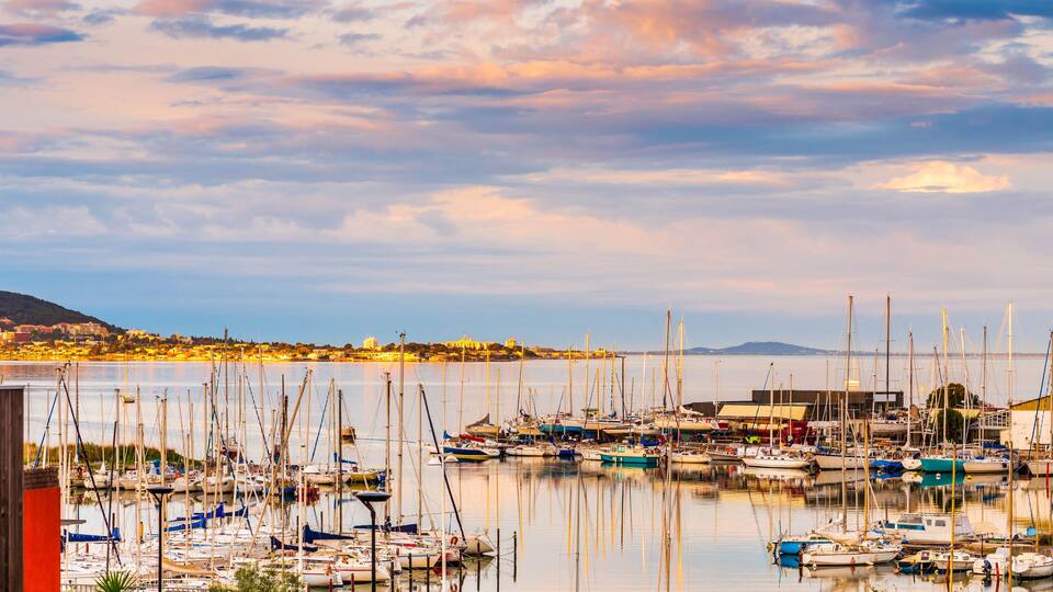 A marina with numerous sailboats docked, a cityscape in the background, and a bridge across the water.