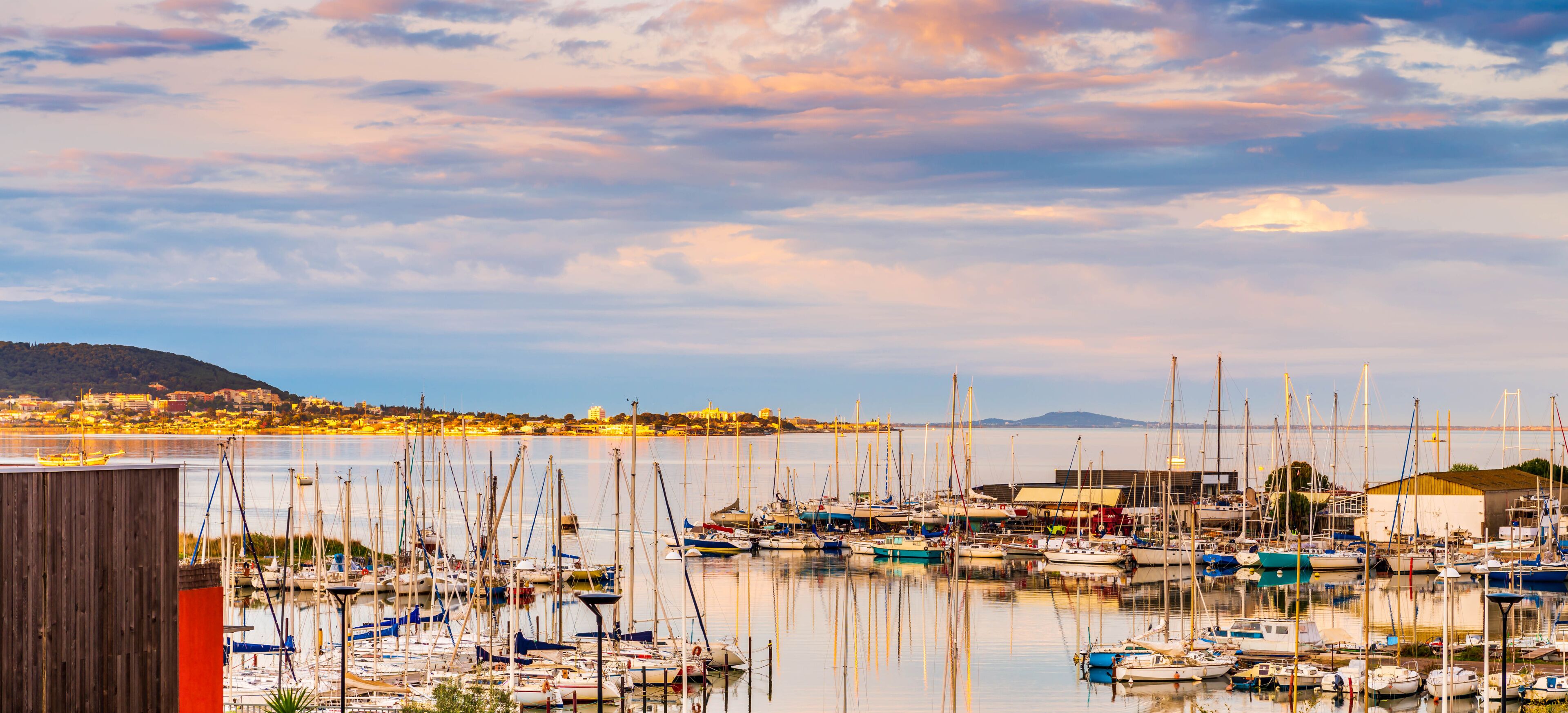 A marina with numerous sailboats docked, a cityscape in the background, and a bridge across the water.