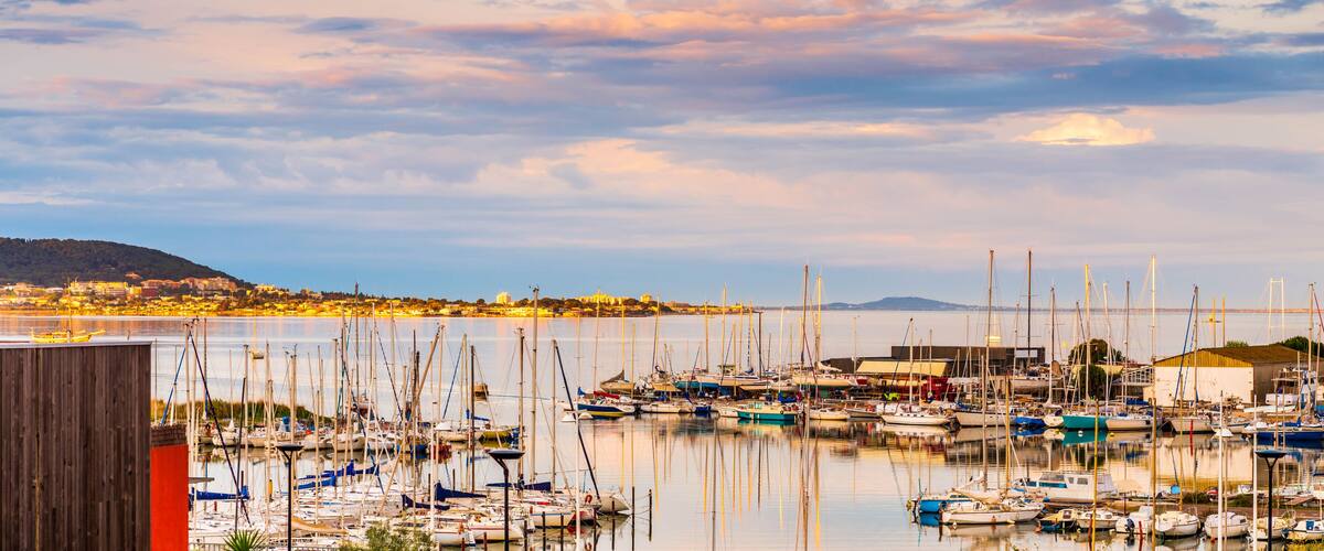 A marina with numerous sailboats docked, a cityscape in the background, and a bridge across the water.