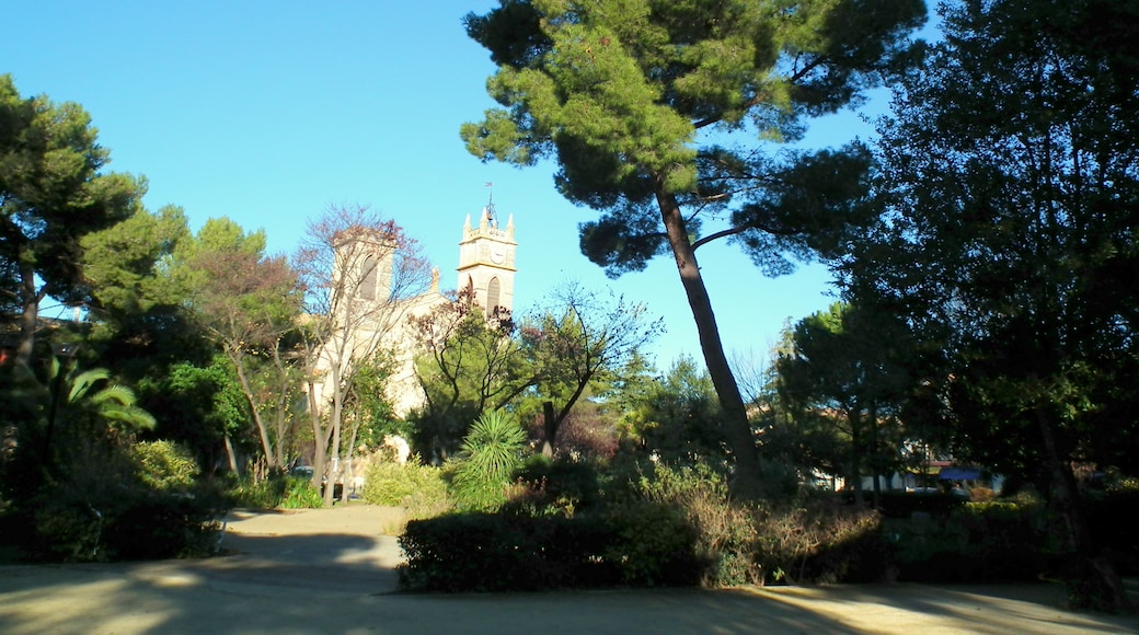 криворастущее дерево