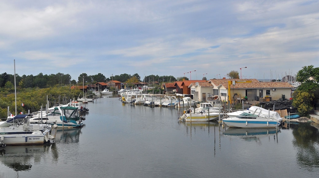 Gujan-Mestras (département de la Gironde, France): marina of La Hume