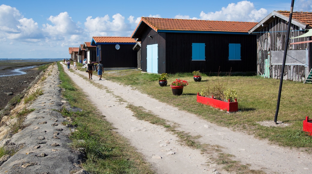 Colorful houses in the French fishing port of Gujan Mestras in Arcachon bassin , Gironde, France; Shutterstock ID 710371216; purchase_order: SP-1332 HA Batch 2 August 2018; Order: ; client: HomeAway;