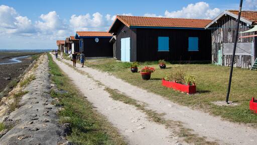 جوجان ميسترا