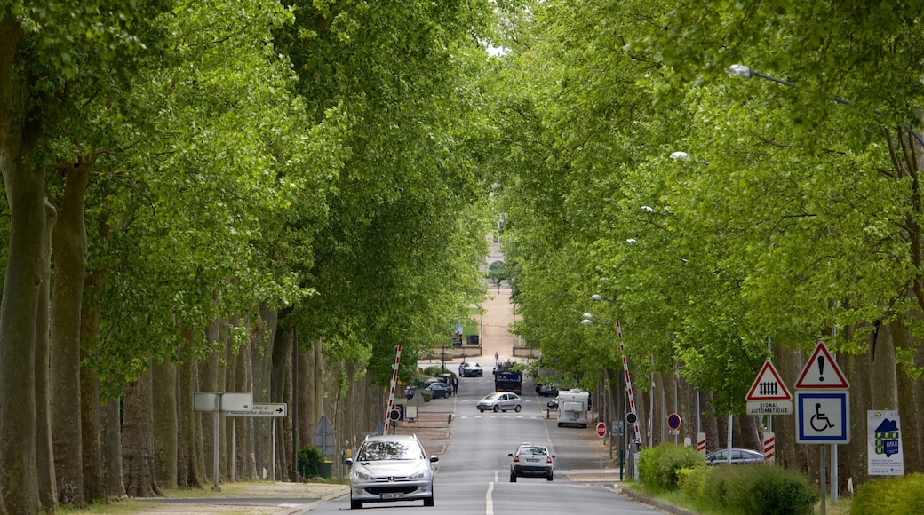 Valencay เนื้อเรื่องที่ ภาพท้องถนน และ สวนสาธารณะ