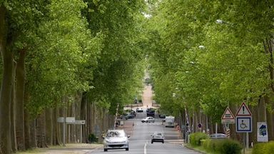 Valencay featuring street scenes and a garden