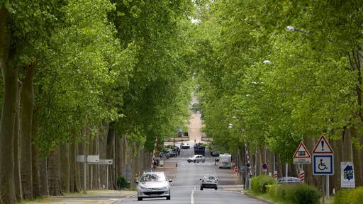Valencay che include strade e parco