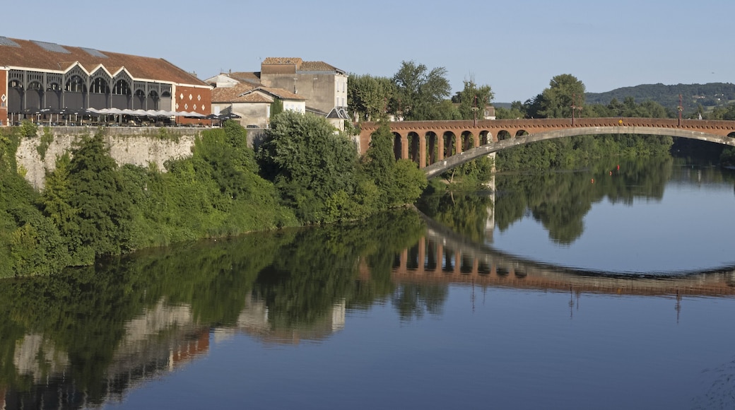 Habitation au bord du Lot à Villeneuve-sur-Lot