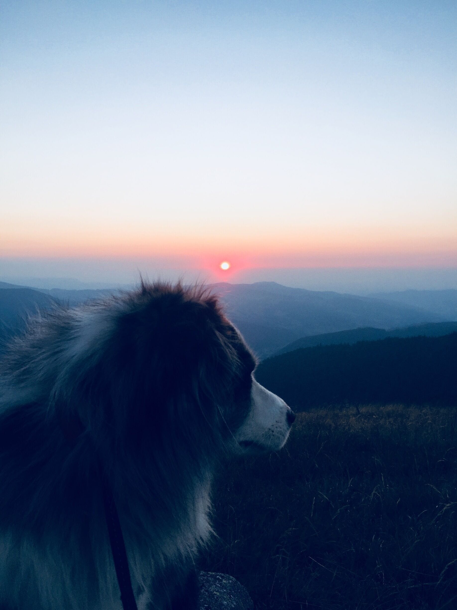 Sunrise in the Vosges, France