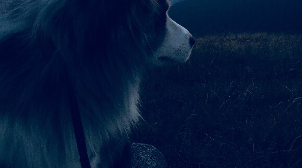 Sunrise in the Vosges, France