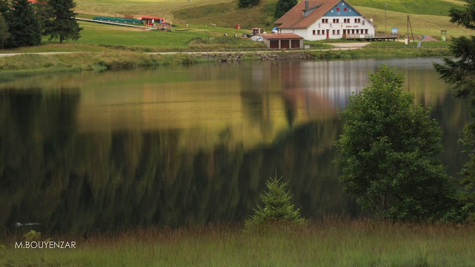 A lake with a house and trees in the background.