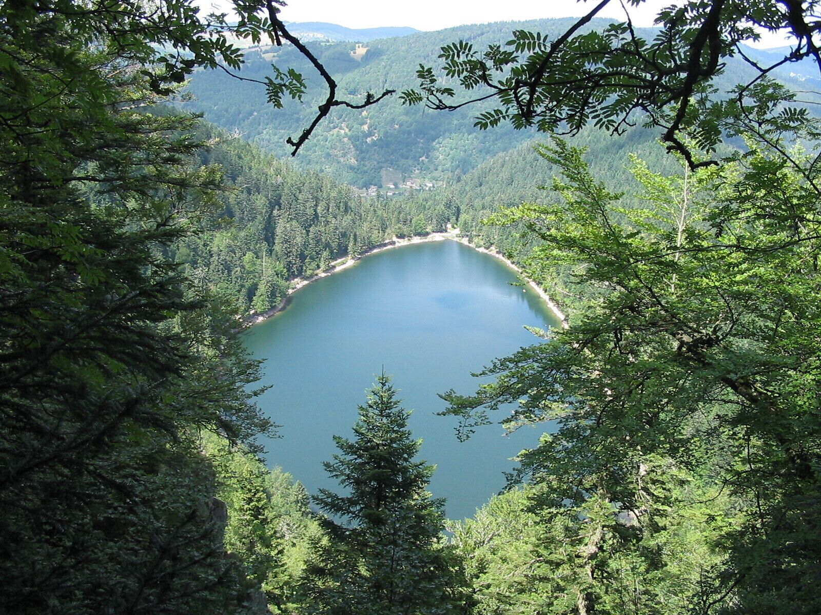 A lake surrounded by dense forest and mountains.