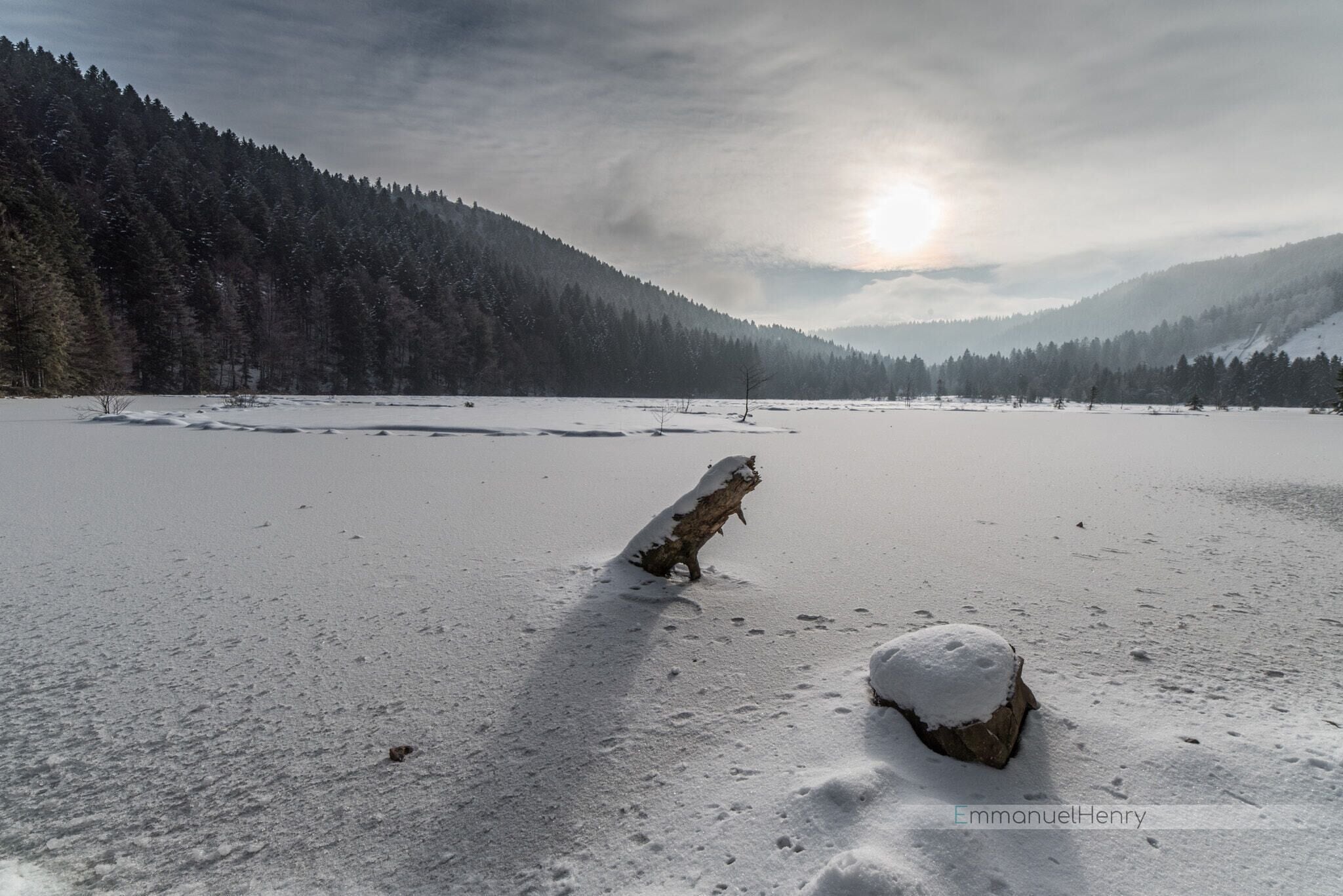 A snowy landscape with a lone tree in the foreground and a forested mountain in the background.